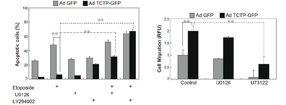 TCTP가 PI3K/Akt 경로, PLC-γ 경로를 경유하여 anti-apoptotic signal, migration signal을 유도함