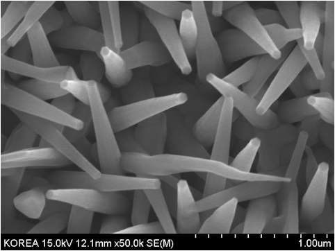 SEM image of a binary oxide grown at low temp.