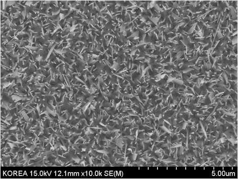 SEM image of a binary oxide grown at high temp.