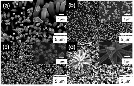 Plan-view and tilted view of FE-SEM images of ZnO nanostructures on FLG grown with different pH values.