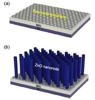 Schematics showing the properation of ZnO nanowires on graphene using hydrothermal method.