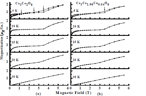 The isothermal magnetization for Ca3Co2O6(a) and Ca3Co1.96Cu0.04O6(b)as a function of magnetic field(0≤H≤5.5 T) at selected temperatures. The vertical arrows mark steps in the curve.