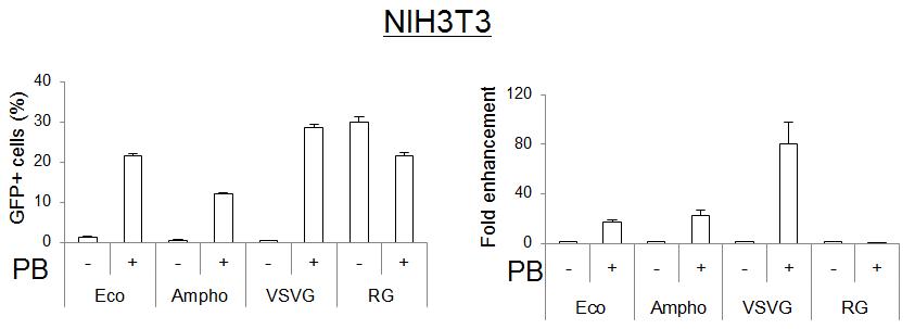 NIH3T3로의 transduction시 각 Env에 미치는 polybrene의 효과