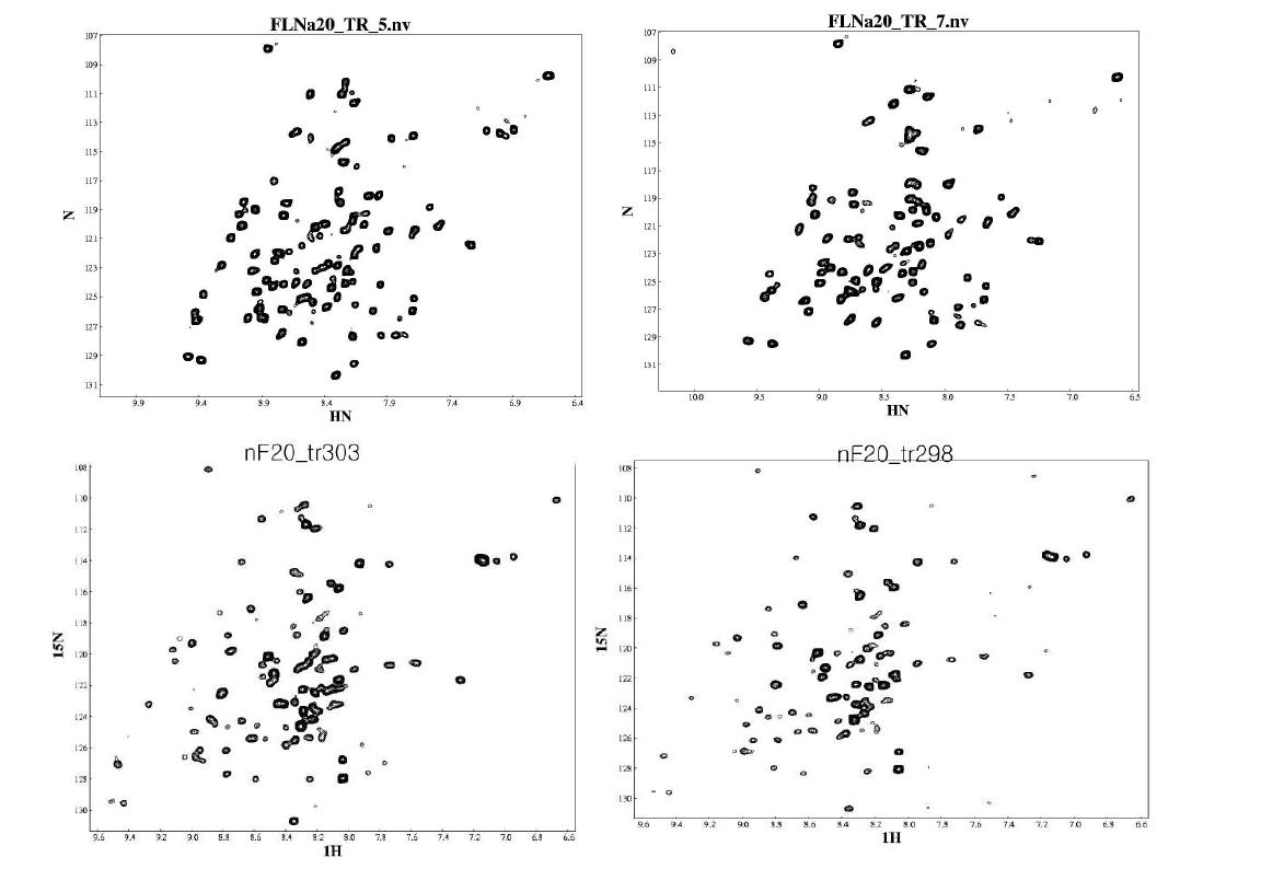 FLNa20의 HSQC spectra