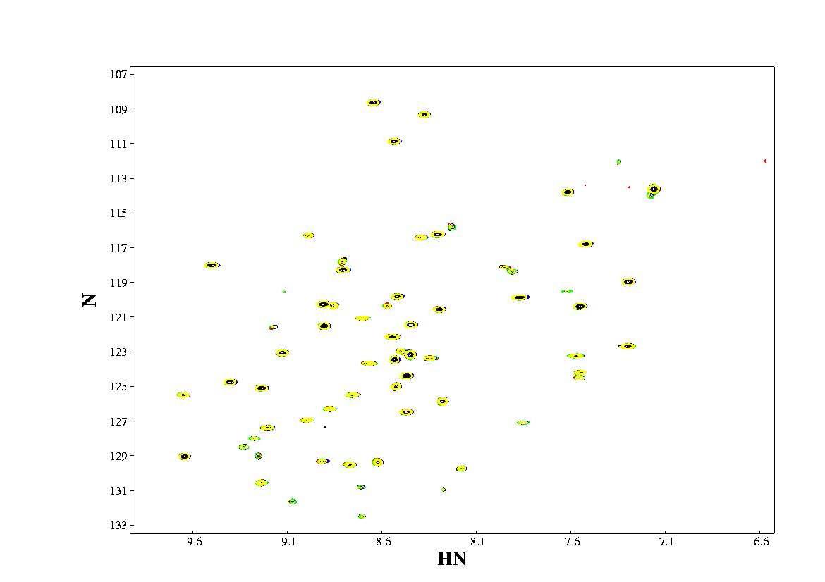 N15 labeled FLNa24 - Epithin의 HSQC titration spectra