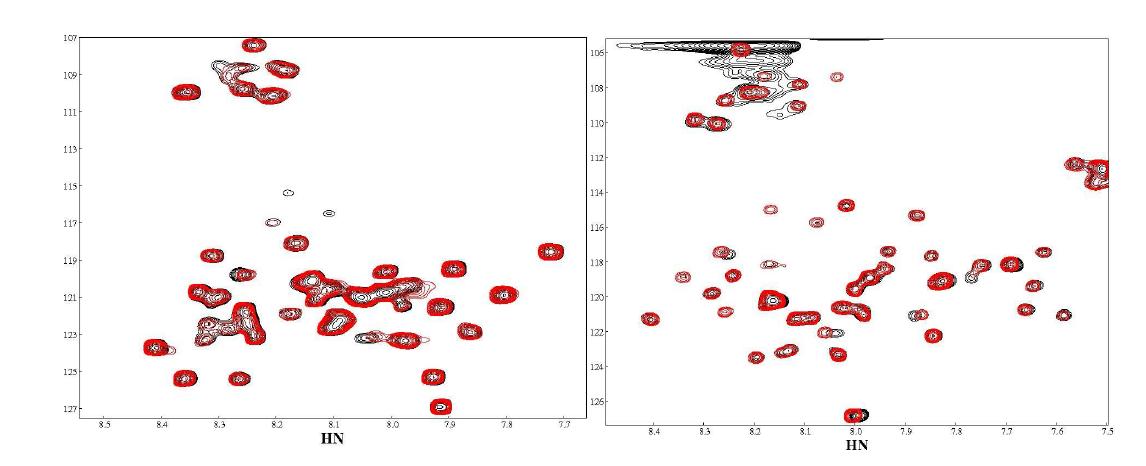 N15 labeled Epithin - FLNa24의 HSQC titration spectra