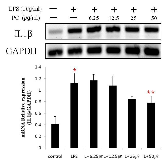 Figure 7. Suppressive effects of Purified Flavonoids on LPS-induced mRNA expression of IL-1β in RAW 264.7 cells