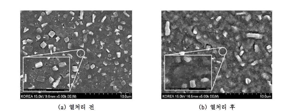 산소분압(PO2)이 10-2 torr 일 때 820 ℃에서의 열처리 전후 고온초전도 선재 초전도 층의 표면 SEM 사진