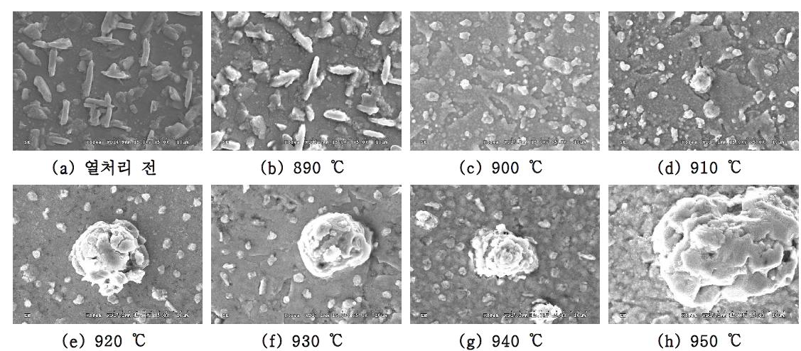 산소분압이 10-2 torr 일 때 열처리 전과 890 ℃부터 950 ℃까지 10 ℃ 간격으로 1분간 열처리한 GdBCO 초전도 층 표면에서의 SEM 사진.