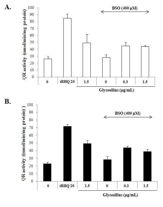 Effects of glyceollins and/or BSO on QR activity in Hepa1c1c7 (A) and BPRc1 (B) cells.