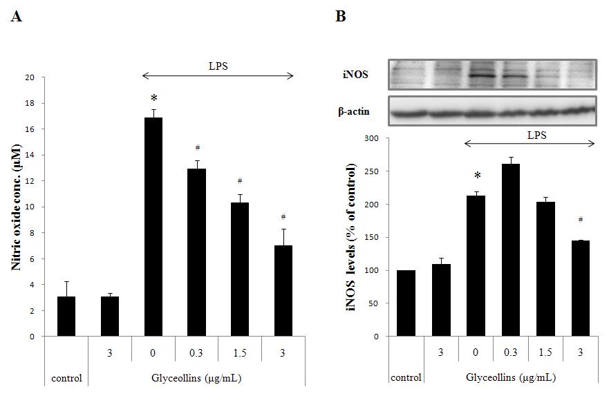 Effect of glyceollins on LPS-induced NO production and iNOS expression in RAW264.7 cells.