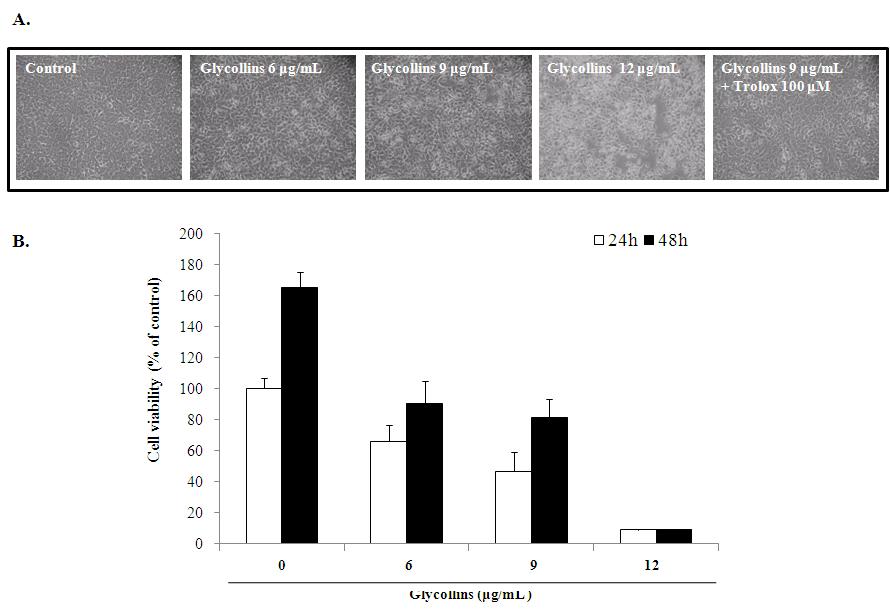 Time-dependent induction of apoptosis by glyceollins in Hepa1c1c7 cells.