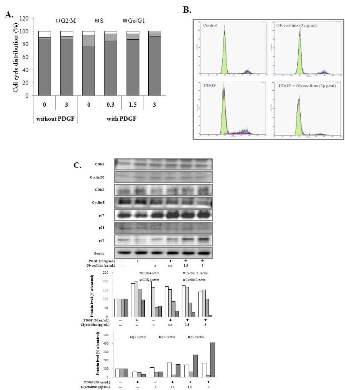 Effect of glyceollins on cell cycle progression in HASMC stimulated by PDGF.