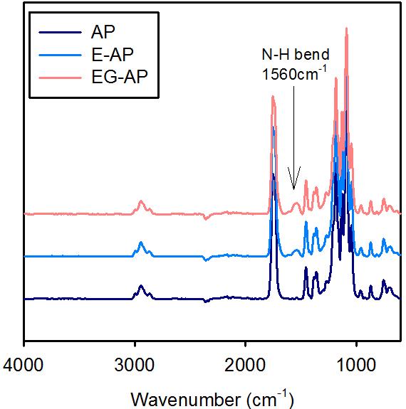 EGF/젤라틴 복합 고정화에 따른 ATR-FTIR 스펙트럼 변화