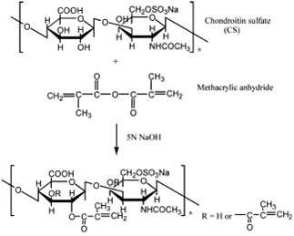 CS derivatives의 합성과정