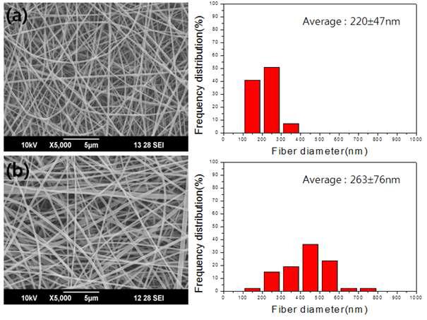 고분자 농도 변화에 따른 섬유의 직경의 변화(PLCL/Collagen = 7/3 (w/w), 전력= 10 kV, 방출속도 = 0.001 mL/min, 거리 = 15 cm, 노즐의 크기 = 25 G); (a) 3 wt%, (b) 5 wt%
