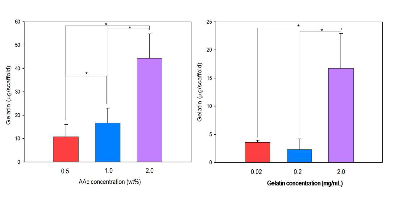 AAc 농도에 따른 gelatin 고정화율