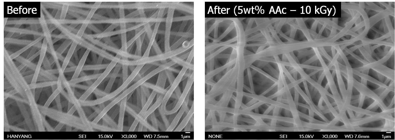방사선 조사에 의한 Acrylic acid가 그래프트된 PLLA nanofibrous scaffolds의 SEM 표면사진