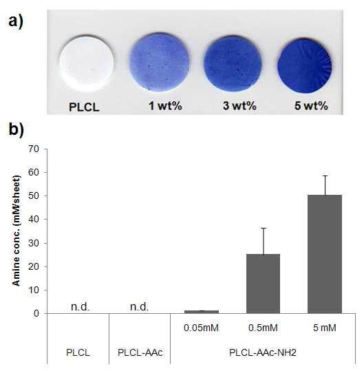 시트에 도입된 기능기 분석. a) toluidine blue O 염색, b) 아민기 정량