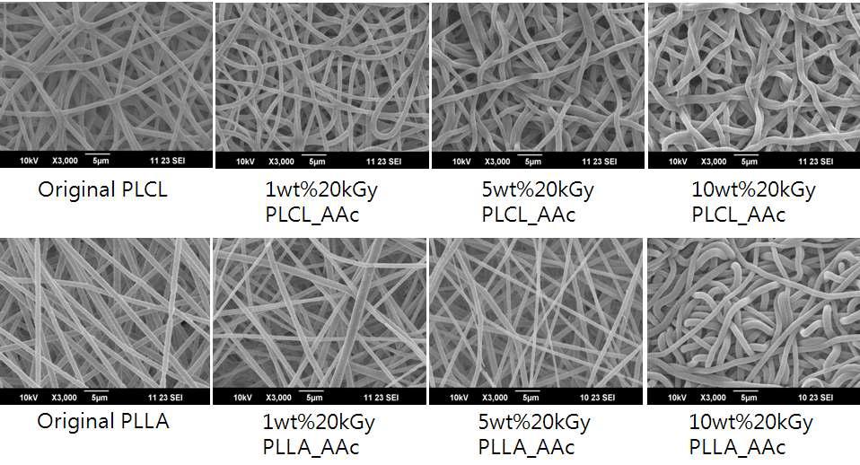 전자선 조사 후의 나노섬유 지지체의 형태
