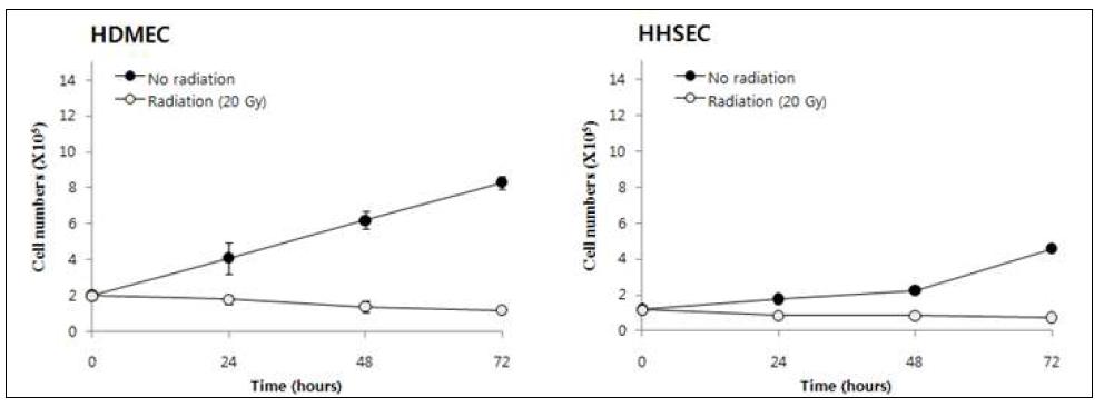 Effect of ionizing-radiation on cell growth of HHSEC and HDMEC.