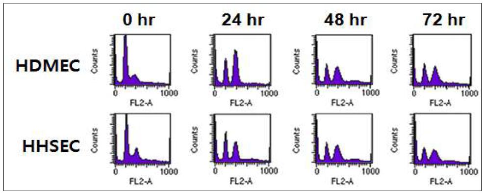 Effect of ionizing radiation on cell cycle progression of HDMEC and HHSEC.