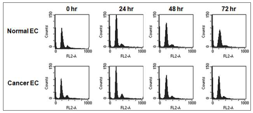 Effect of ionizing radiation on cell cycle progression of the isolated normal and cancer endothelial cells.