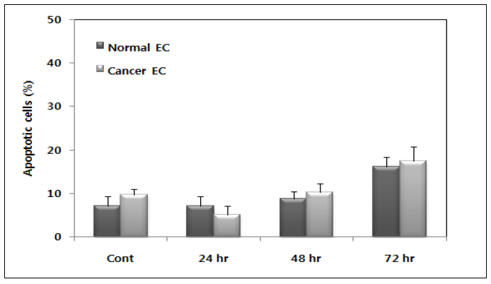 Ionizing radiation-induced apoptosis in the isolated normal and cancer endothelial cells.