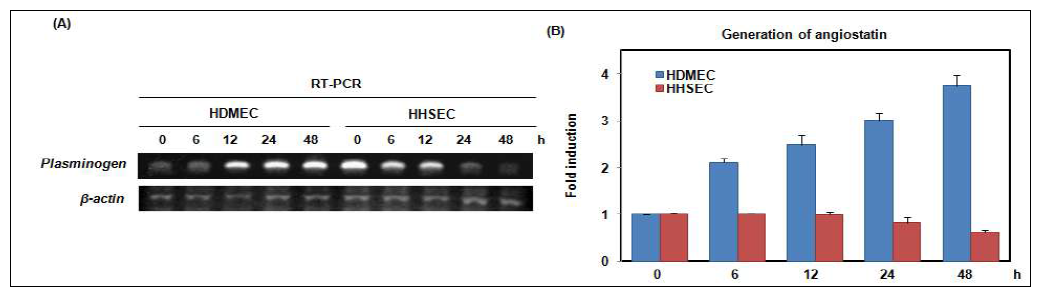 Effect of ionizing radiation on the generation of angiostatin in HDMECs and HHSECs.