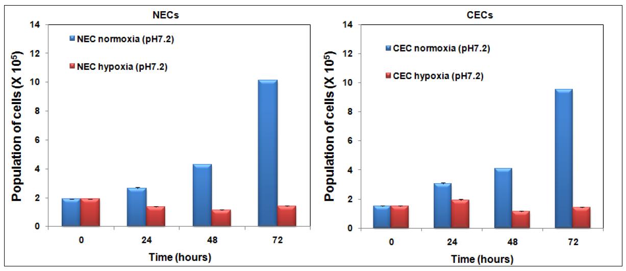 Effect of hypoxia on the cell growth of NECs and CECs.