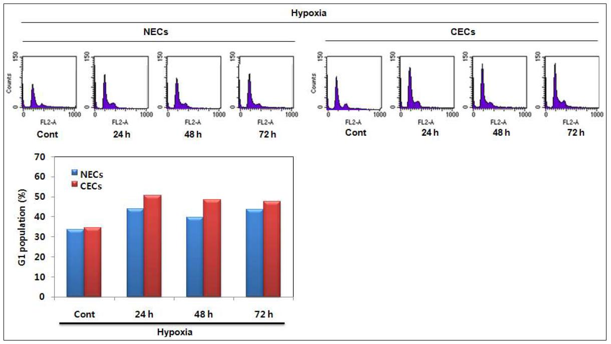 Effect of hypoxia on the cell cycle of NECs and CECs.