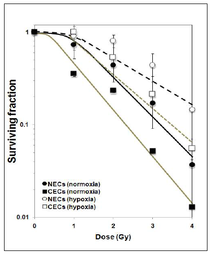 Clonogenic cell survival of NECs and CECs