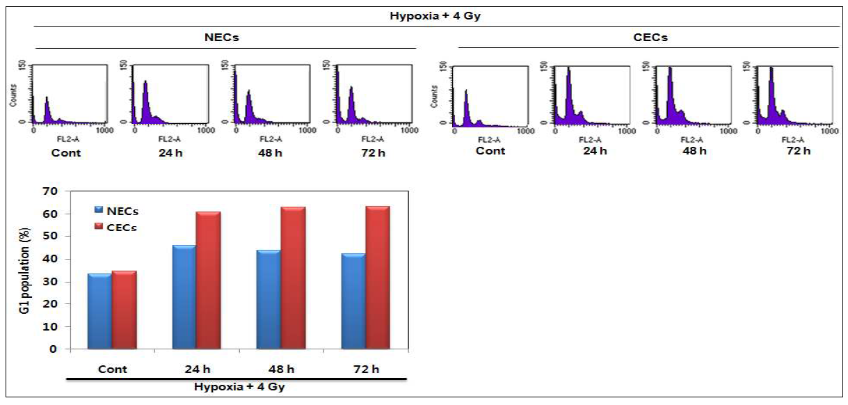 Effect of ionizing radiation on the cell cycle of NECs and CECs under hypoxic condition.