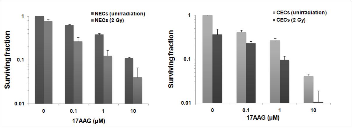 Effect of 17AAG on the clonogenic cell survival of NECs and CECs.