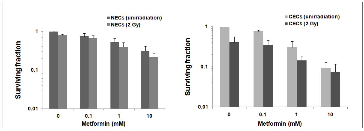 Effect of Metformin on the clonogenic cell survival of NECs and CECs.