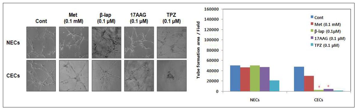 Anti-angiogenic effects of Met, β-lap, 17AAG and TPZ.