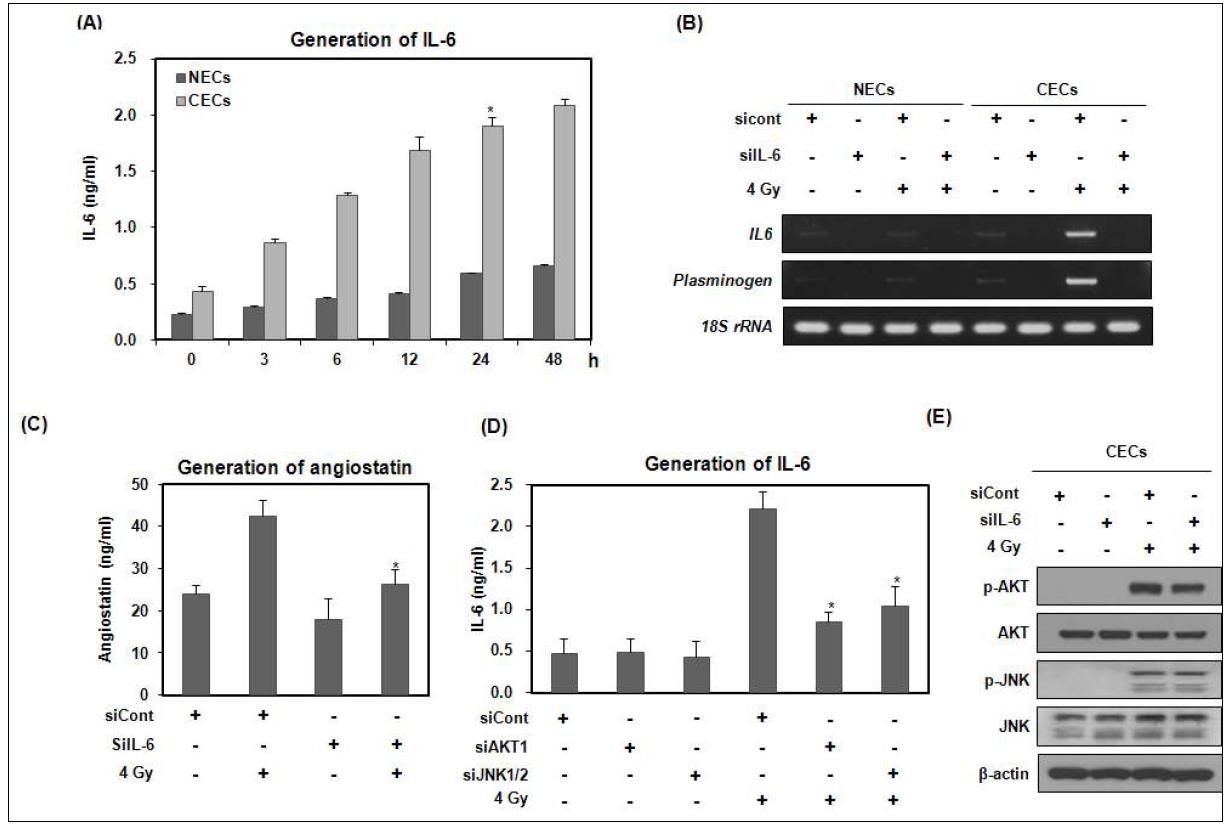 IL-6 is required for the generation of angiostatin from irradiated CECs.