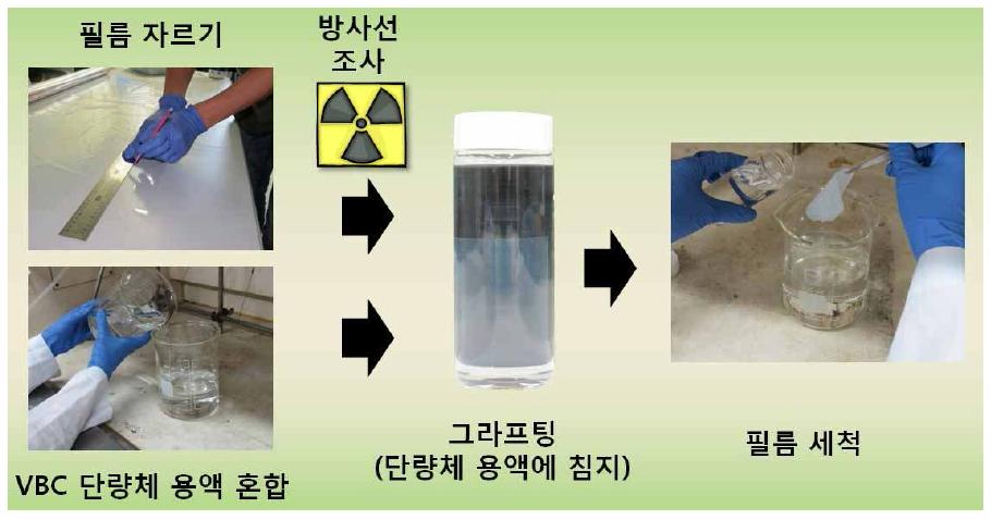 VBC 고분자가 그라프트된 불소고분자 필름 제조를 위한 전조사 방법