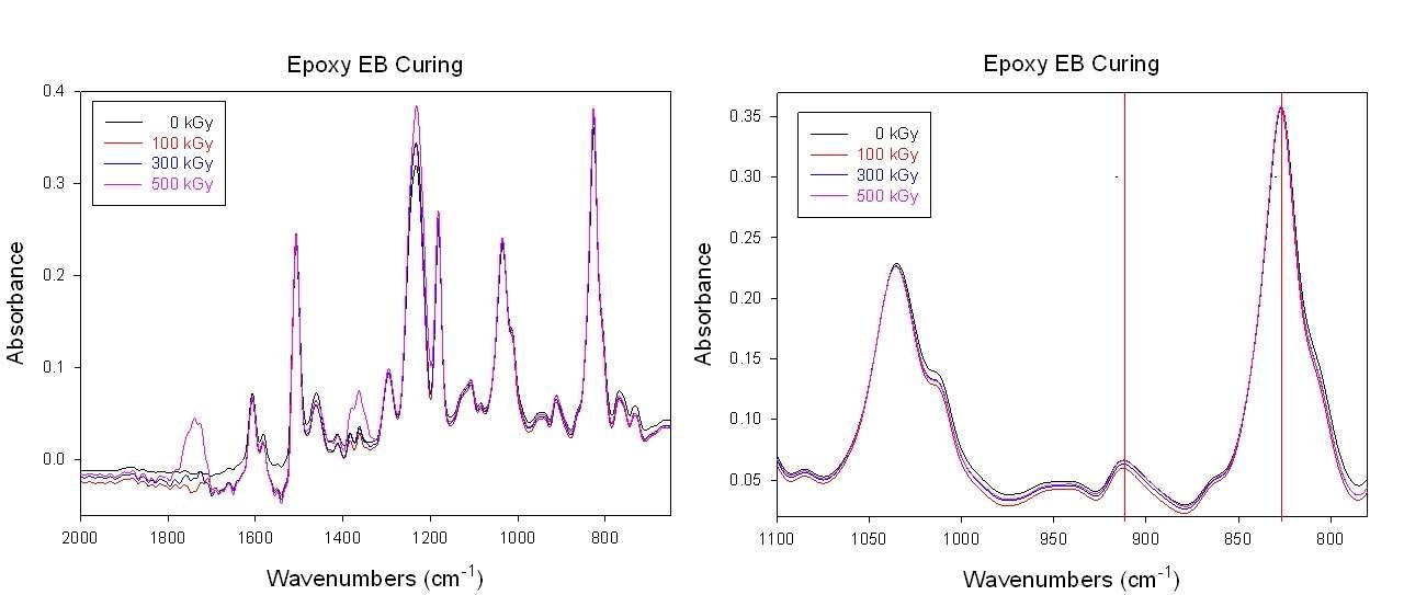 에폭시만의 방사선 조사량별 방사선 경화 샘플의 FT-IR 그래프