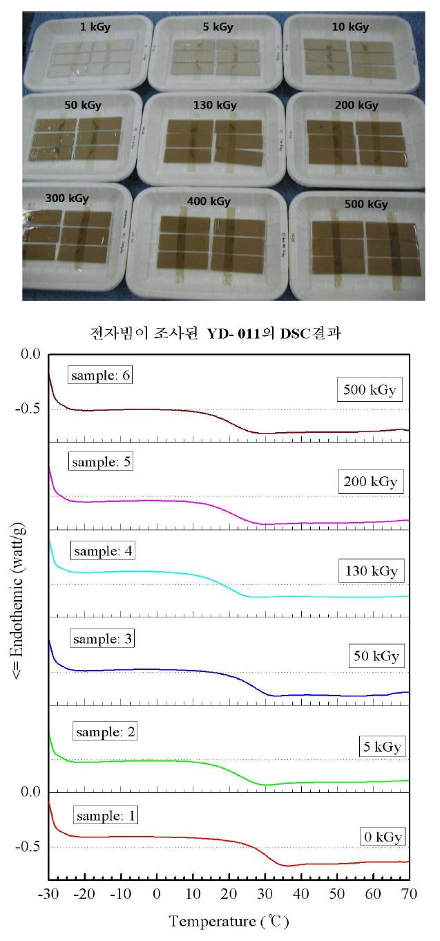 전자빔 조사선량에 따른 YD-011의 전자빔이 조사된 후 시료 모습과(위), DSC 측정결과(아래).