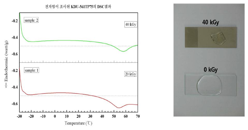 전자빔 조사 선량에 따른 KDU-6561TP75의 DSC 결과(왼쪽)과 실제 시료 모습(오른쪽).