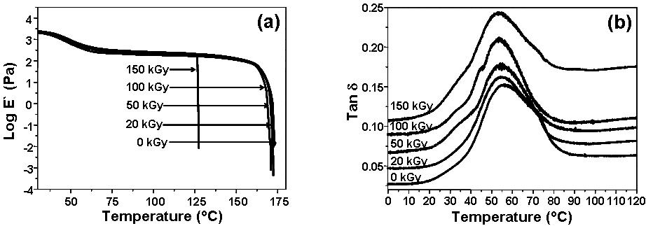 순수한 것과 다양한 전자빔 흡수선량에서 조사 된 PLA들의 저장탄성율(E' ) (a)와 탄젠트 델타 (tan δ)의 변화 (b).