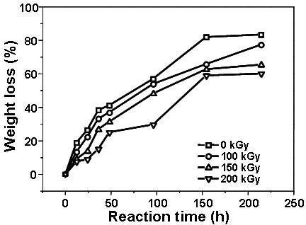 효소분해반응 시간에 따른 PCL 필름의 중량 변화.