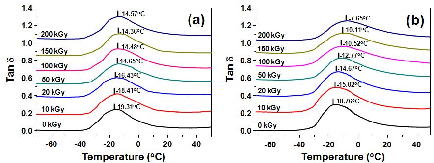 다양한 전자빔 흡수선량에서 조사된 순수한(pure) 것들 (a)과 동일한 조건에서 처리된 3 wt% TAIC를 함유한 PBAT들의 탄젠트 델타(tan δ) (b).