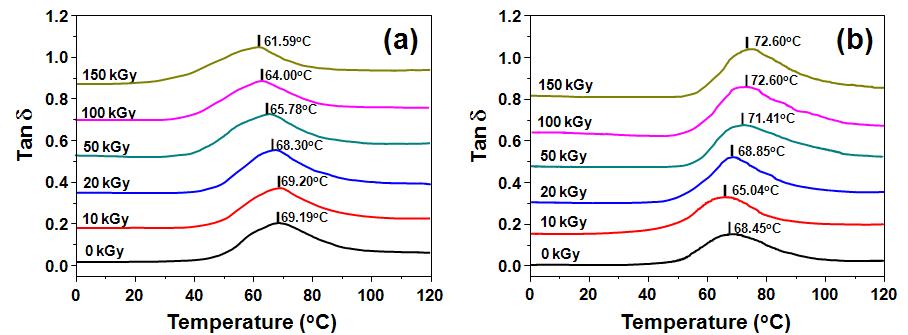 다양한 전자빔 흡수선량에서 조사된 순수한 것들 (a)과 동일한 조건에서 처리된 5 wt% TAIC를 함유한 PLA들의 탄젠트 델타(tan δ) (b).