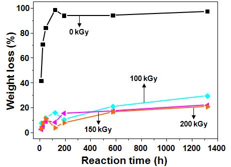 효소분해반응 시간에 따른 다양한 조사량에서 3 wt%의 TAIC 존재 하에서 가교된 PCL 필름의 중량 변화.