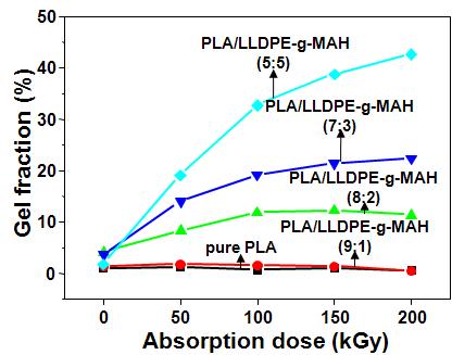 전자빔 흡수선량(absorption dose)에 따른 PLA/LLDPE-g-MAH 블랜드의 겔화율(gel fraction)의 변화.