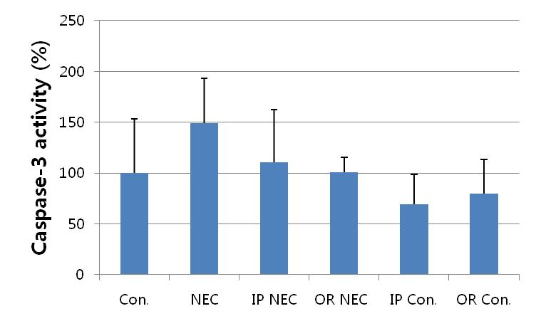 VEGF 투여(정주 및 경구 투여)시 caspase-3 activity 확인