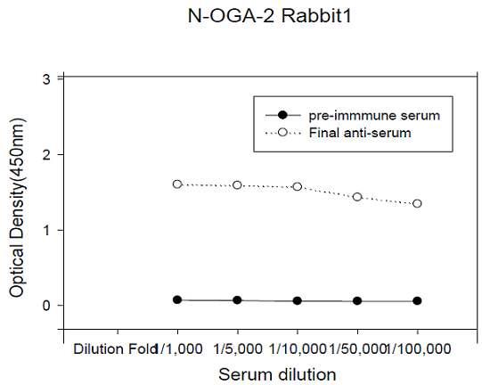 ELISA test of antiserum against N-OGA-2 peptide.