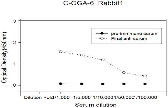 ELISA test of antiserum against C-OGA-6 peptide.